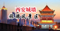 凌辱嫩模中国陕西-西安城墙旅游风景区